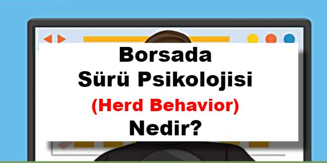 Sürü Psikolojisi (Herd Behavior) Nedir?