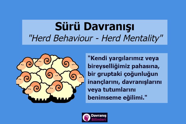 Sürü Davranışı (Herd Behaviour)